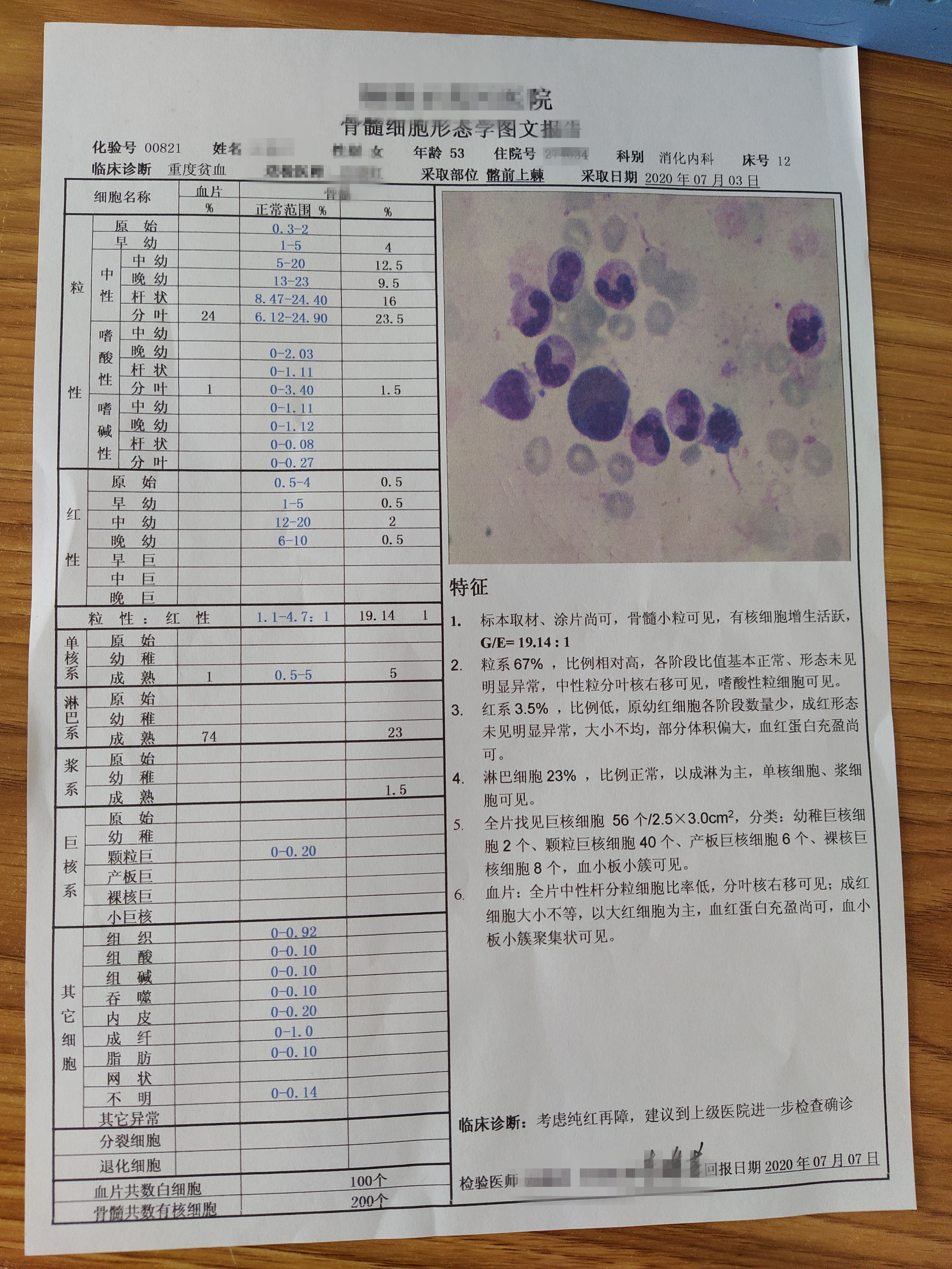 家人患上血液病,我才明白装修污染多可怕,骨髓穿刺结果